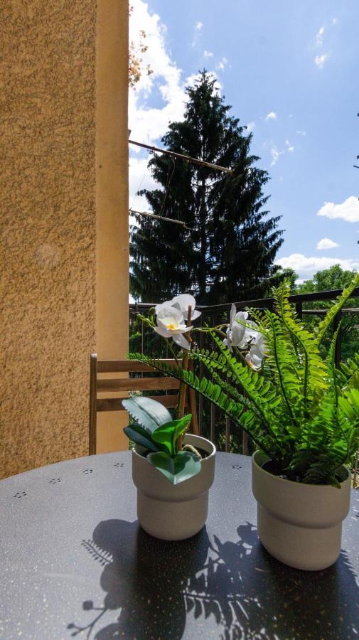 Lk43-Lodging City-Apartments, Kontaktlos Mit Self Check-In Грац Екстериор снимка